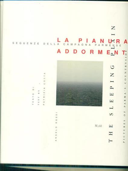 La pianura addormentata. The sleeping plain - Angelo Rossi - copertina