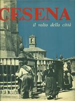 Cesena il volto della città