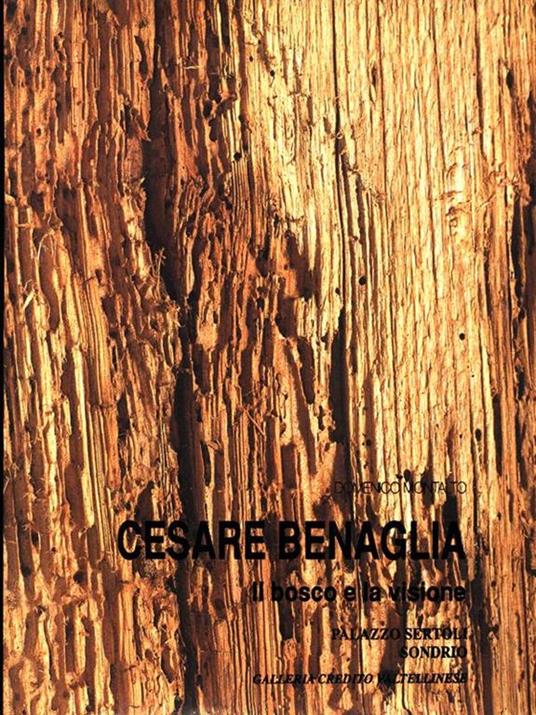 Cesare Benaglia. Il bosco e la visione - copertina
