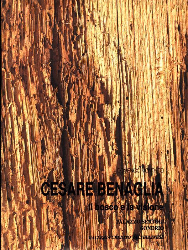 Cesare Benaglia. Il bosco e la visione