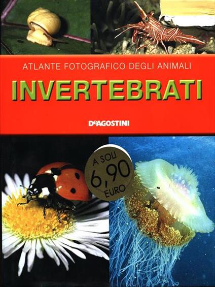 Invertebrati - copertina