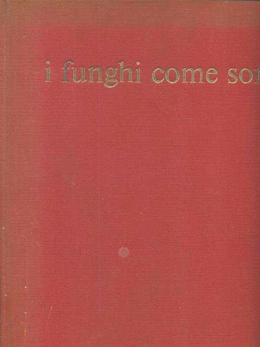 I funghi come sono - Severino Viola - 3