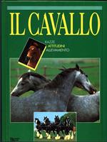 Il Cavallo