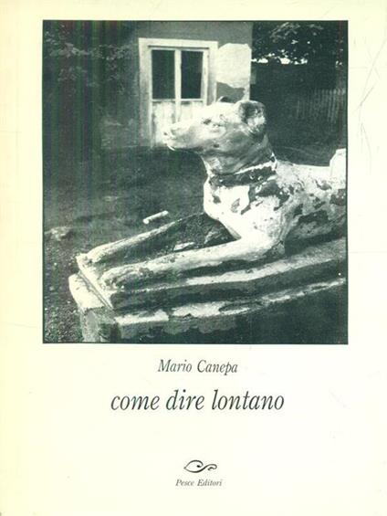Come dire lontano di: Mario Canepa - copertina