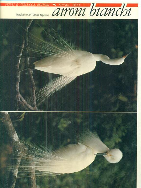 L'Odissea Libri e Arte