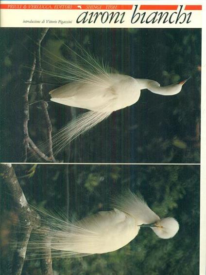 Aironi bianchi - Shingi Itoh - copertina