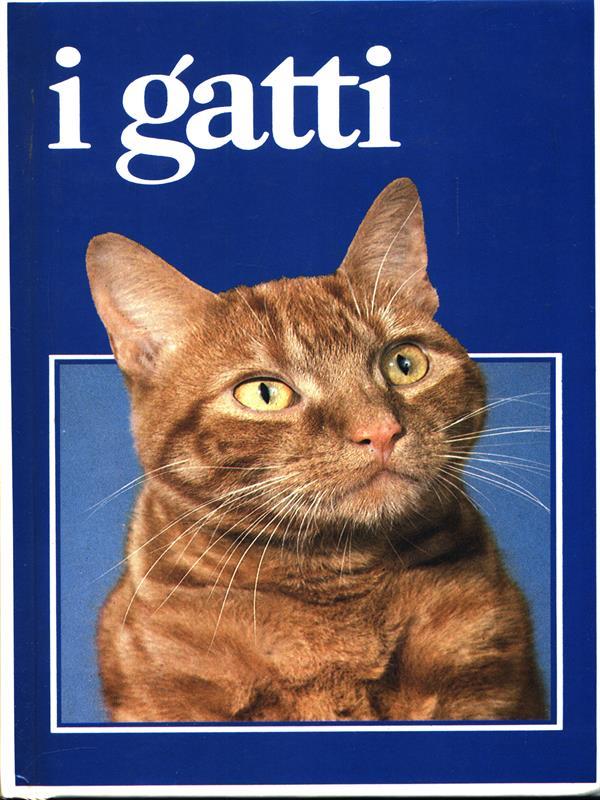 I gatti