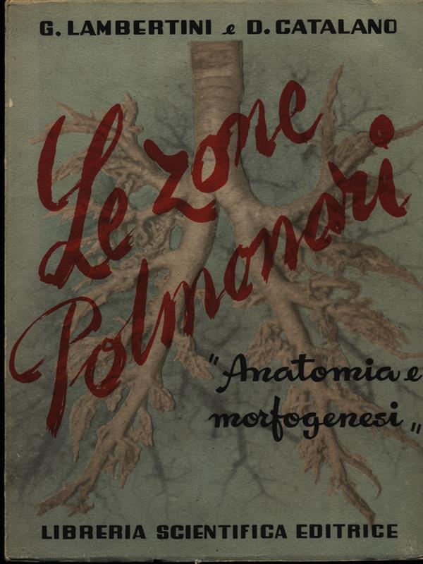 Le zone polmonari