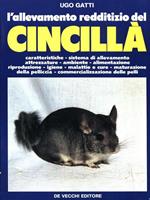 L' allevamento redditizio del Cincillà