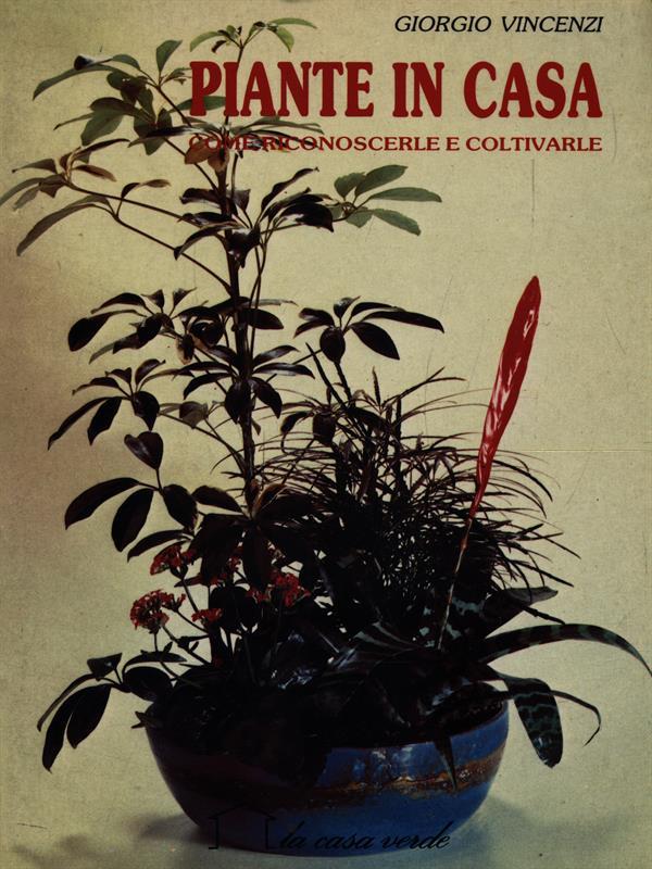 Piante in casa