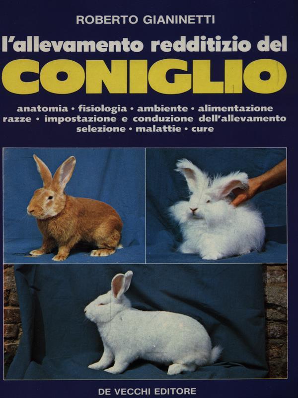 L' allevamento redditizio del Coniglio