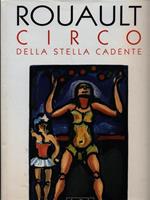 Circo della stella cadente