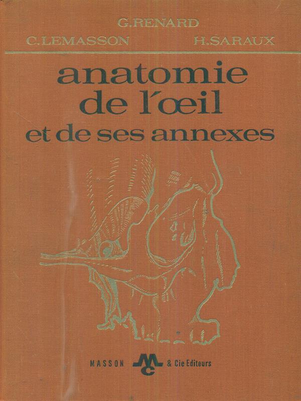 anatomie de l'oeil