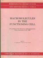 Macromolecules in the funcioning cell