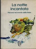 La notte incantata