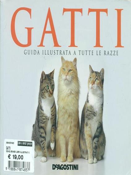 Gatti - Louisa Somerville - copertina