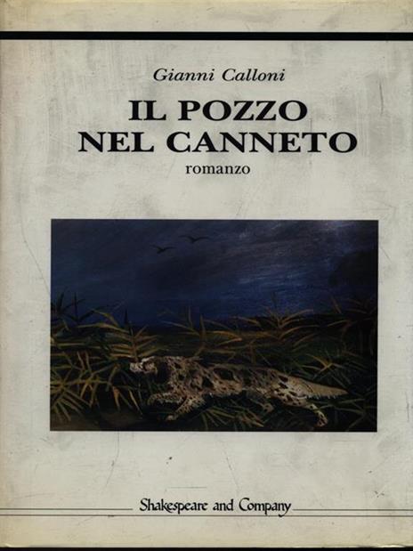 Il pozzo nel canneto - Gianni Calloni - copertina