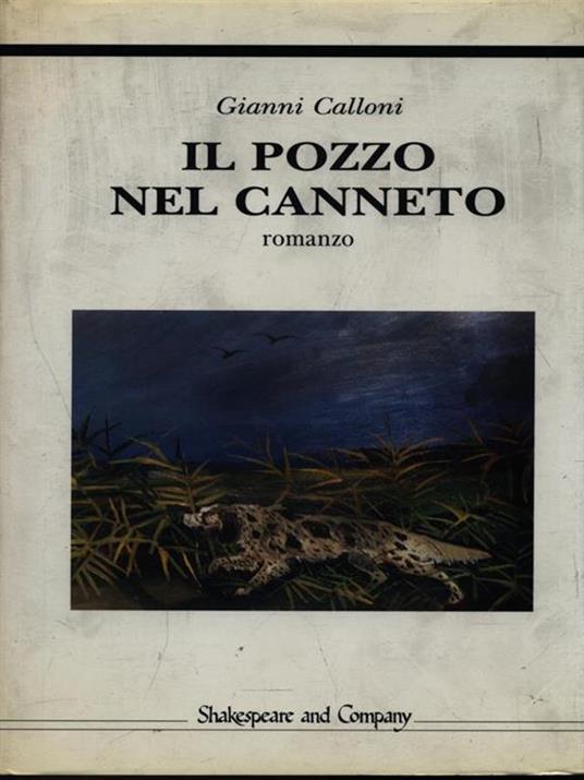 Il pozzo nel canneto - Gianni Calloni - copertina