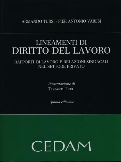 Lineamenti di diritto del lavoro. Rapporti di lavoro e relazioni sindacali nel settore privato - Armando Tursi,Pier Antonio Varesi - copertina