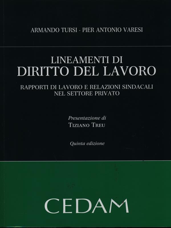 Lineamenti di diritto del lavoro. Rapporti di lavoro e relazioni sindacali nel settore privato