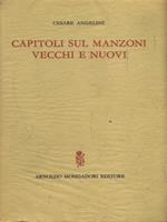 Capitoli sul Manzoni vecchi e nuovi