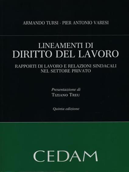 Lineamenti di diritto del lavoro. Rapporti di lavoro e relazioni sindacali nel settore privato - Armando Tursi,Pier Antonio Varesi - copertina