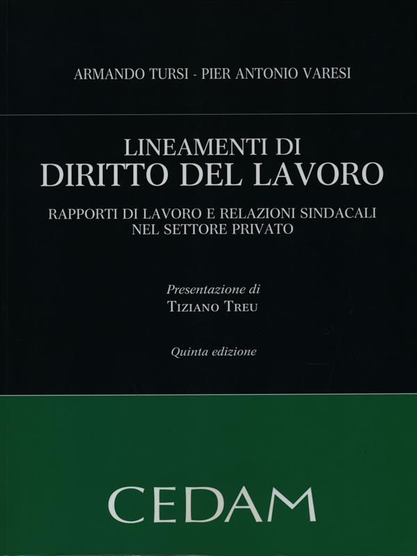 Lineamenti di diritto del lavoro. Rapporti di lavoro e relazioni sindacali nel settore privato