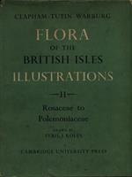Flora of the British Isles Illustrations II. Rose to Polemoniaceae