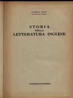 Storia della letteratura inglese..