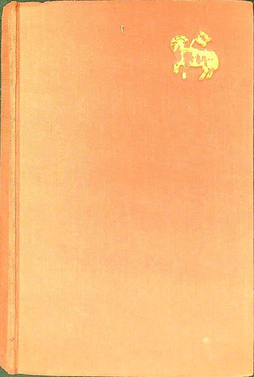 La bibbia per il bambino
