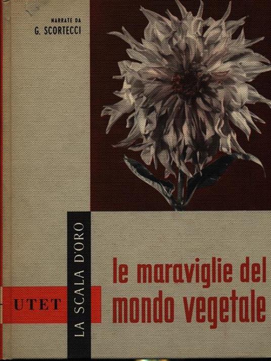 Le meraviglie del mondo vegetale - Giuseppe Scortecci - copertina