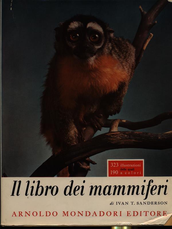 Libro di Faccia