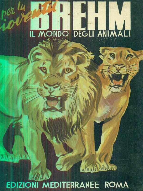 Sbinario nove e 3/4