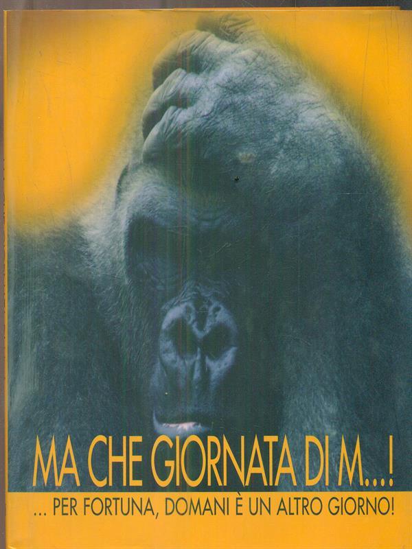 Ma che giornata di m...!
