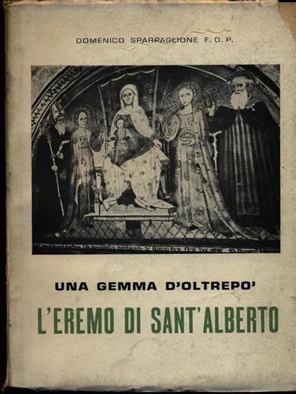 L' eremo di Sant'Alberto - Domenico Sparpaglione - copertina