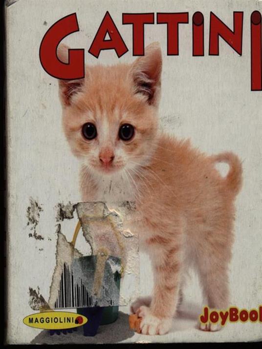 Gattini - copertina