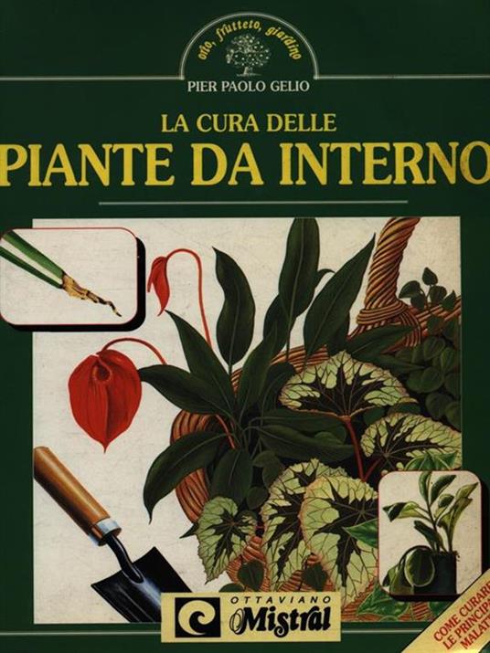 La cura delle piante da interno - Pier Paolo Gelio - copertina