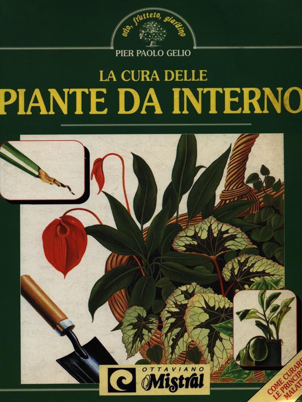 La cura delle piante da interno