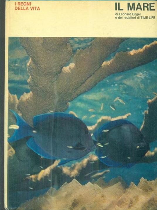 Il mare - Leonard Engel - copertina