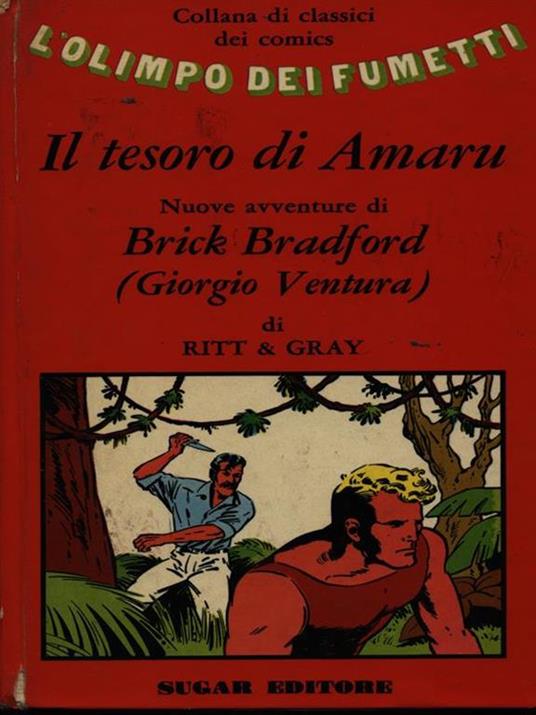 Il tesoro di Amaru - copertina