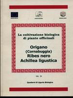 Origano Ribes nero Achillea ligustica