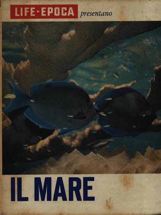 Il mare - Leonard Engel - copertina