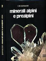 Minerali alpini e prealpini. 2 Volumi