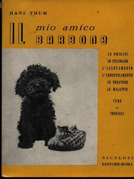Il mio amico barbone - Hans Thum - copertina