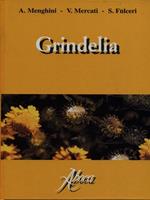 Grindelia