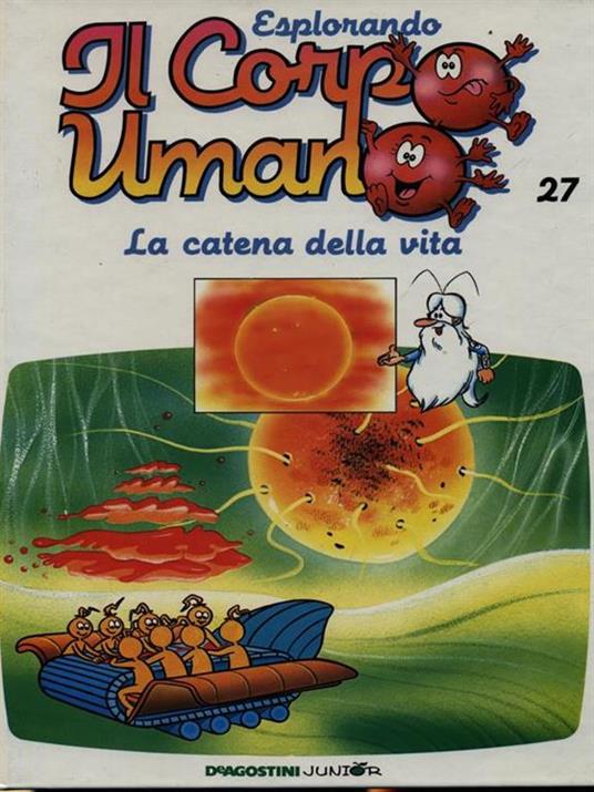 Esplorando il corpo umano 27 / La catena della vita - copertina