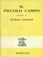 Il piccolo campo