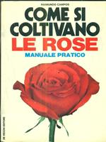 Come si coltivano le rose