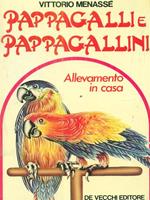 Pappagalli e pappagallini