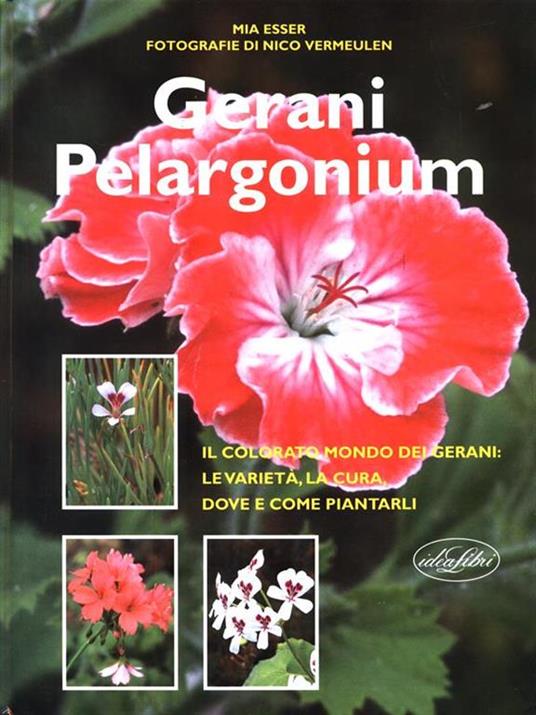 Gerani Pelargonium - copertina